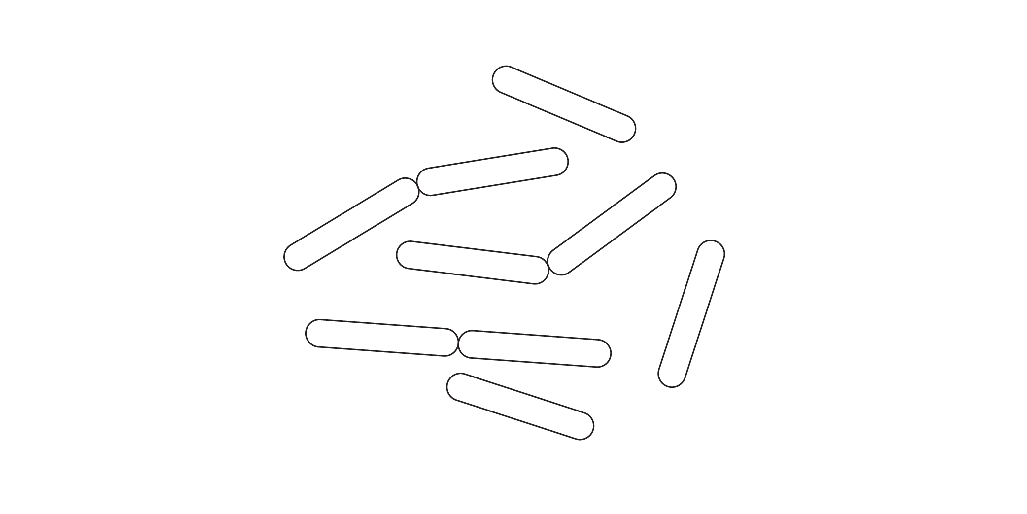 Lactobacillus Ferment