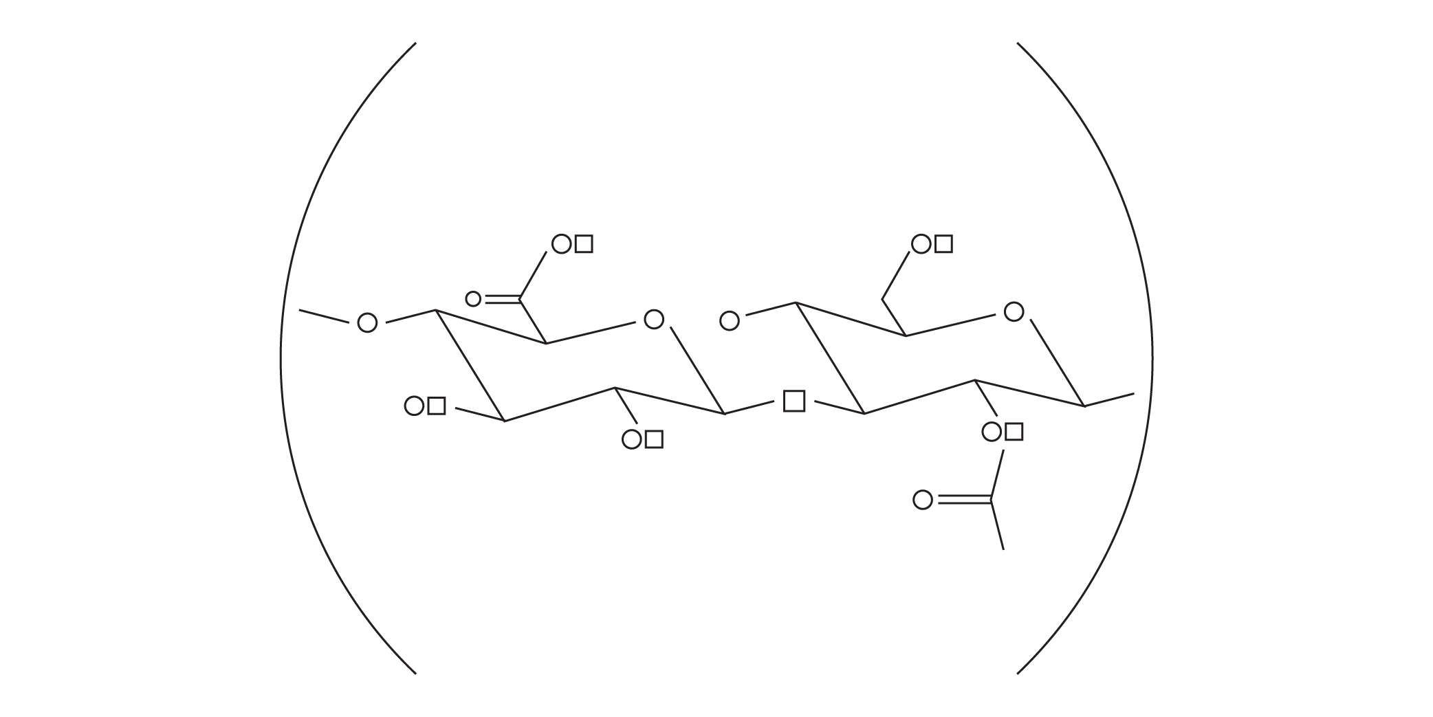 Sodium Hyaluronate Crosspolymer