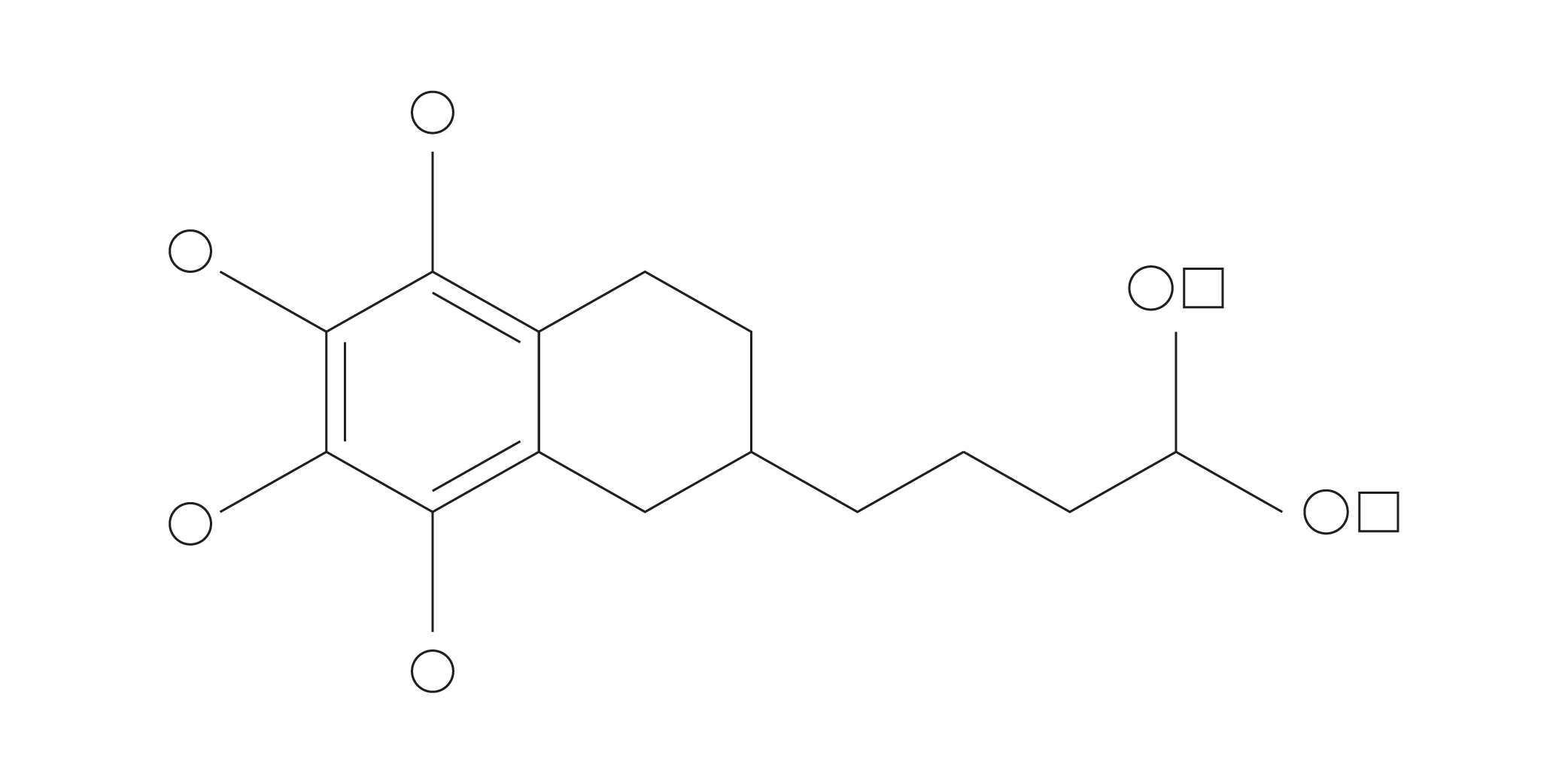 Tocopheryl Acetate (Vitamin E)