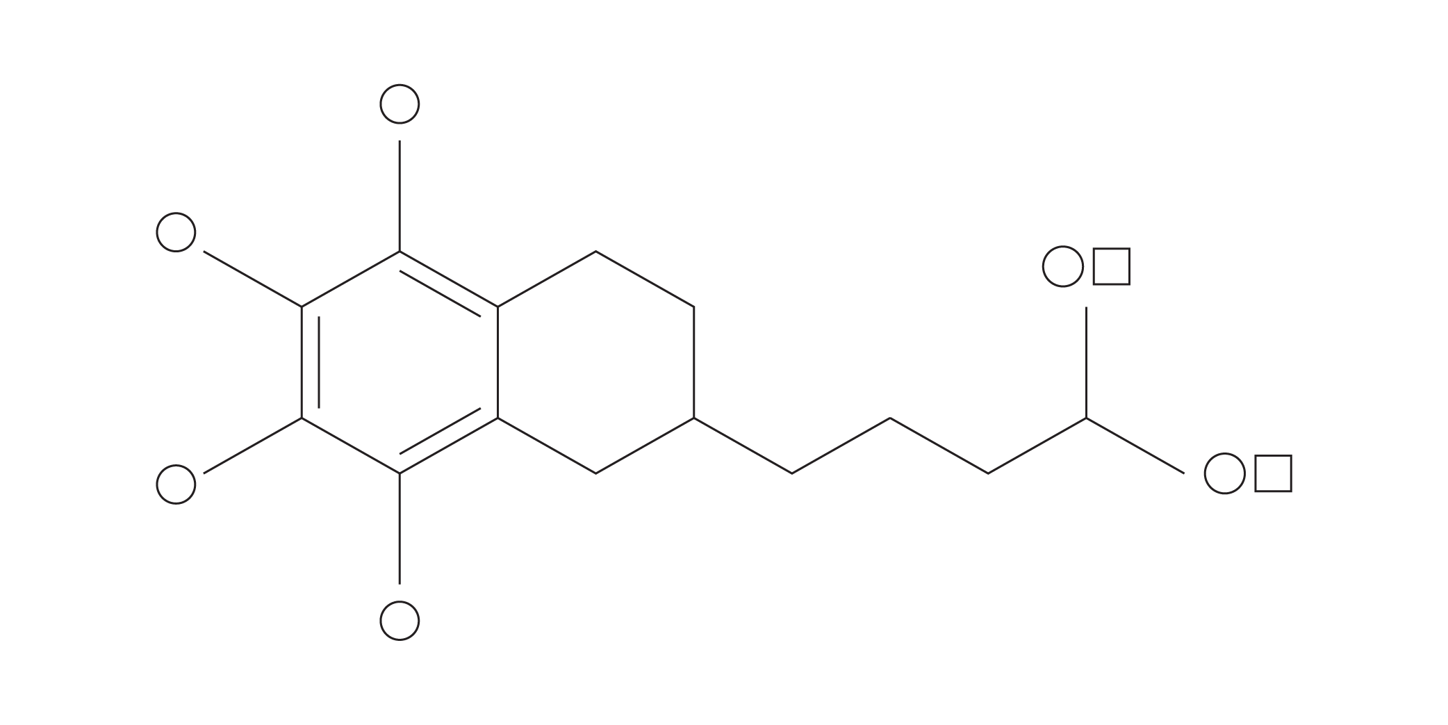 Tocopheryl Acetate (Vitamin E)